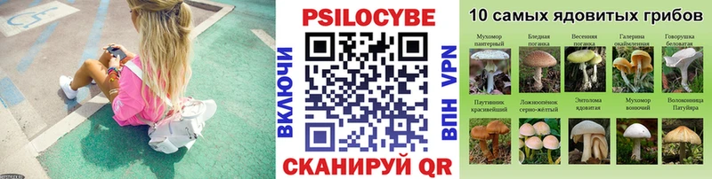 Купить где  Оха  Галлюциногенные грибы Cubensis 